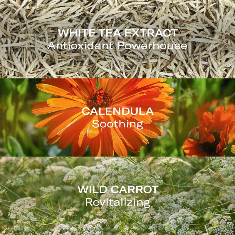 Odacite OdacitÃ© Face Cream Moisturizer - Oleosomes Hydrating Cream - Anti-Aging Lightweight Facial Moisturizer with Hyaluronic Acid for Hydration and Fine Lines, 1.69 fl. oz - Image 4